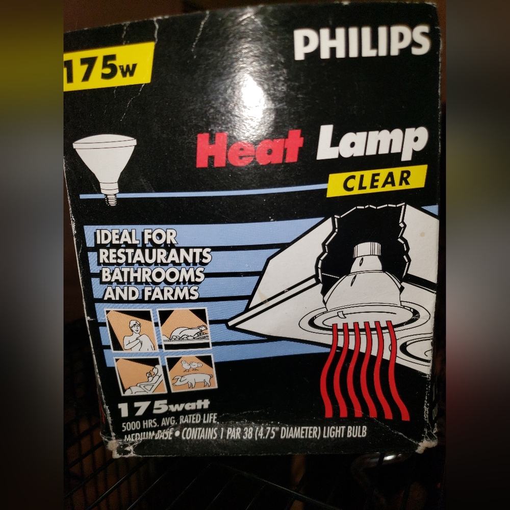 Hear lamp